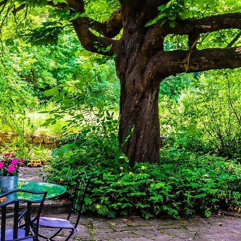 Hébergement AbracadaRoom : La Cabane de Camille - Image 13