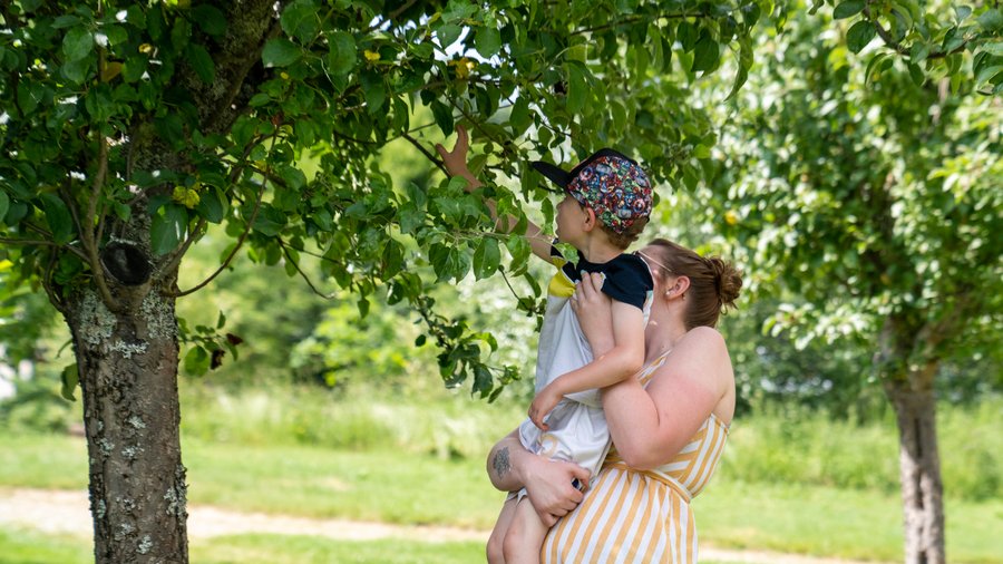 Domaine AbracadaRoom : Village des Monédières - Image 7