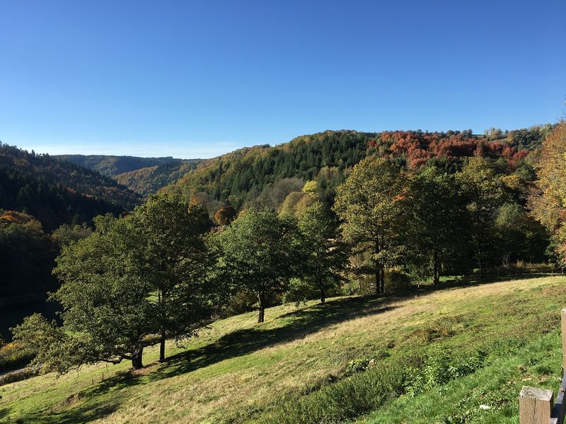 Domaine AbracadaRoom : Les Cabanes de la Guinguette - Image 15