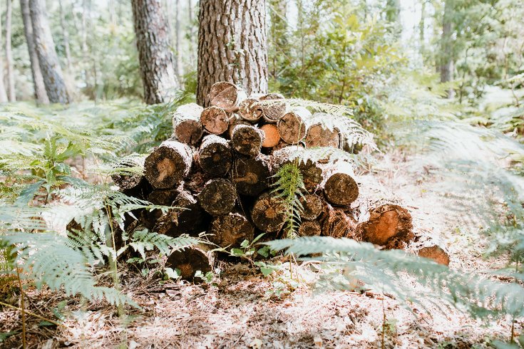 Domaine AbracadaRoom : Tiny Stay Ecolodge - Image 4