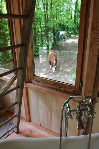 Hébergement AbracadaRoom : La Cabane de La Tortillère - Image 11