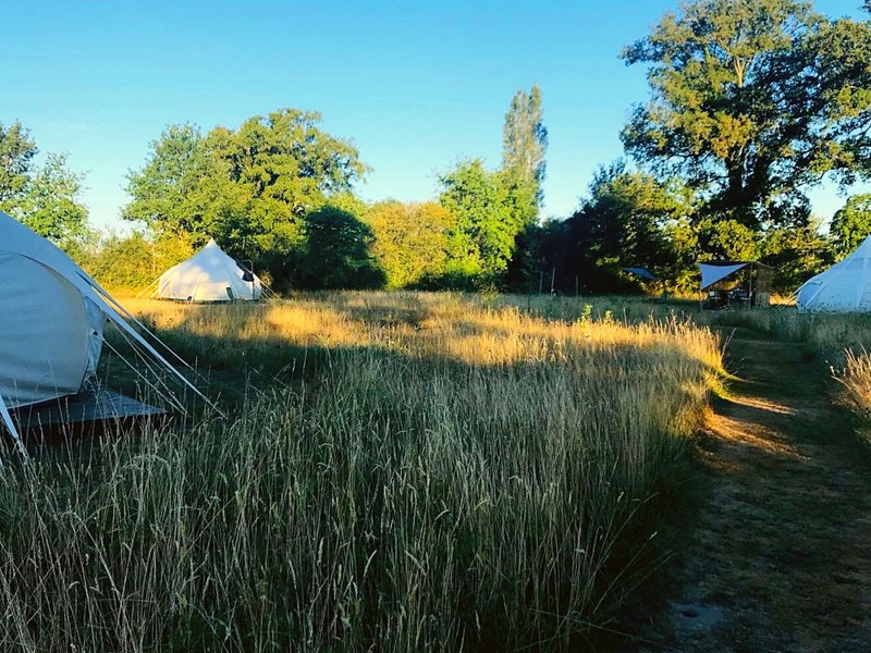 Domaine AbracadaRoom : La Prairie Étoilée Glamping - Image 5