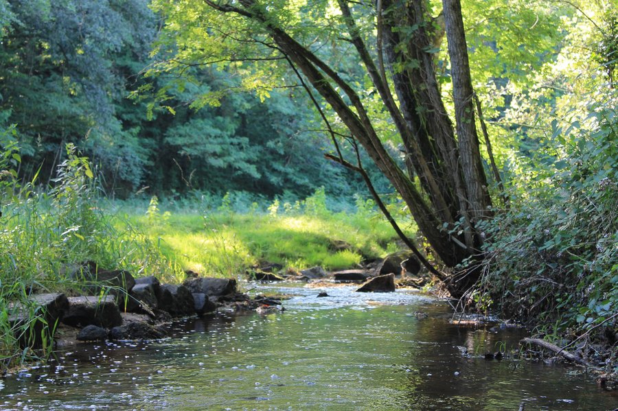 Domaine AbracadaRoom : L'Etoile Perchée - Image 2
