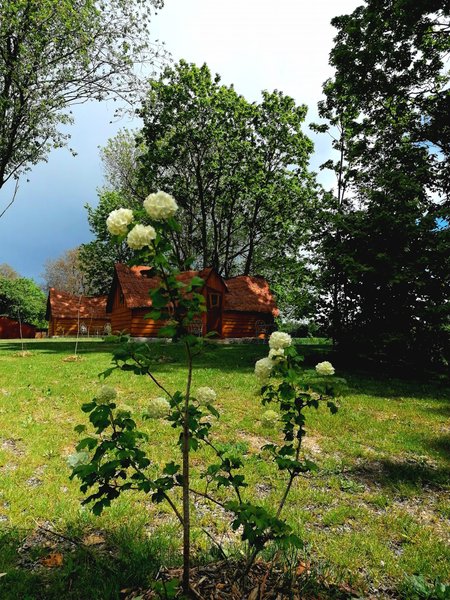 Hébergement AbracadaRoom : Grande Cabane de la Gare - Image 4