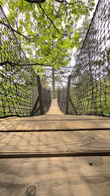 Épine Vinette & Spa à Serres (33)