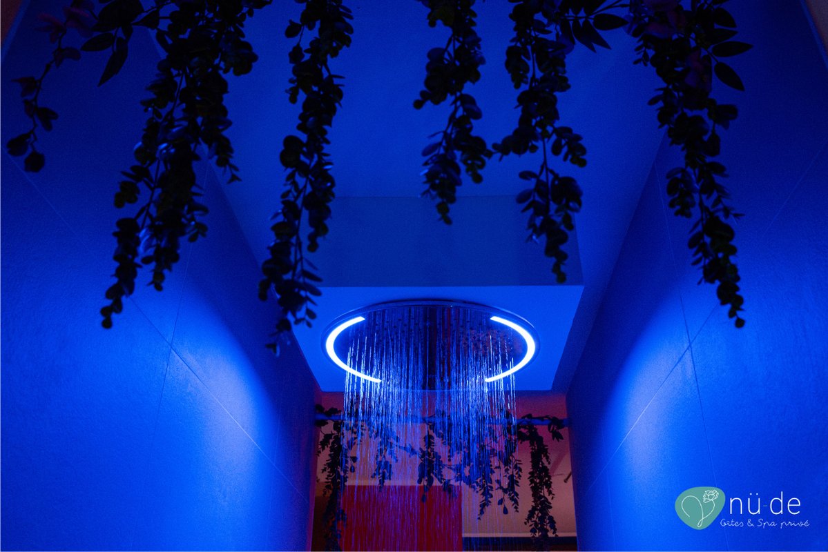 Suite Romantique le secret de Kama avec spa, sauna et douche bien être à Zuydcoote (13)