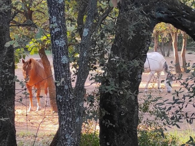 Hébergement AbracadaRoom : Le Voyage Imaginaire - Image 30