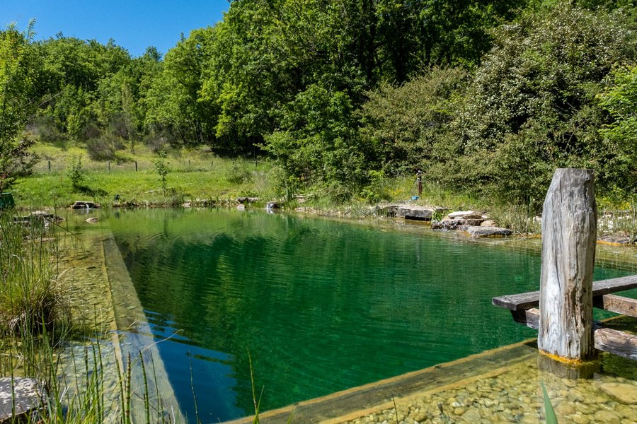 Hébergement AbracadaRoom : Bamburi, dans les bois - Image 9