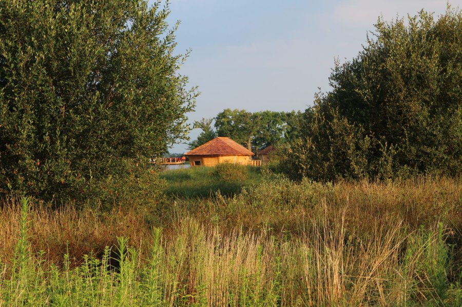 Hébergement AbracadaRoom : Cabane Familiale flottante Poisson Clown - Image 3