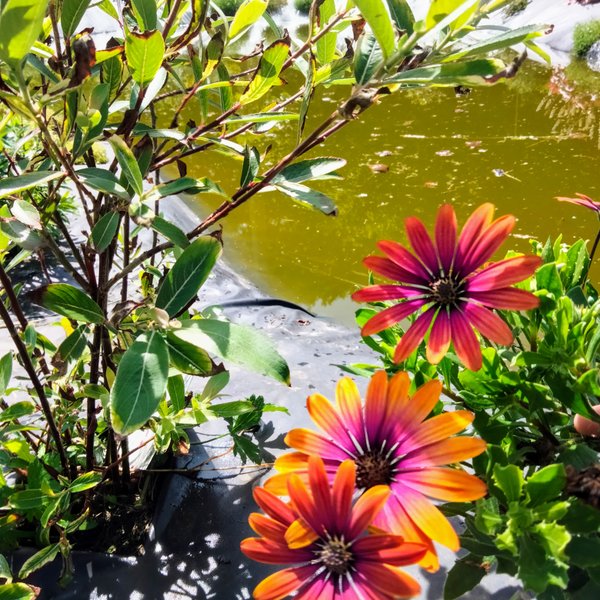 Hébergement AbracadaRoom : Lin pour l'autre & Spa - Image 14