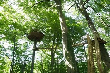 La cabane Haut-Perchée & Spa à Wail (2)