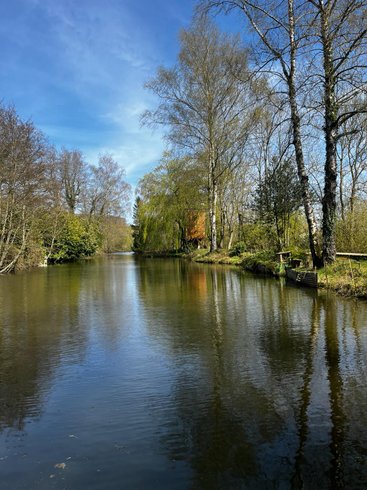 Hébergement AbracadaRoom : La tête dans les étoiles - Image 9