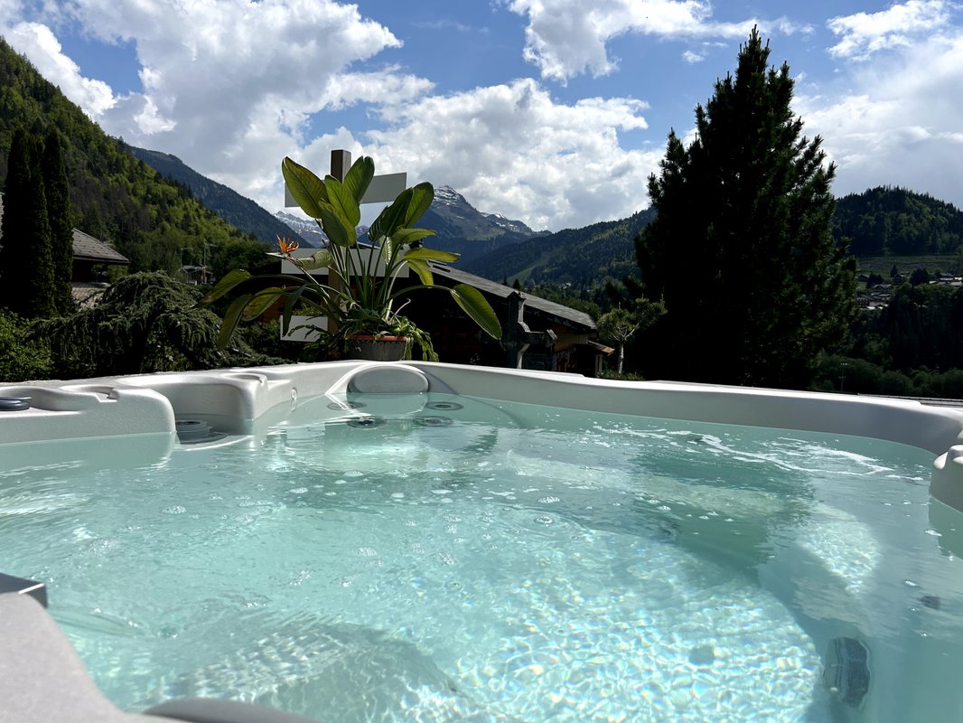 Le Petit Nid d'Amour à Montriond (9)