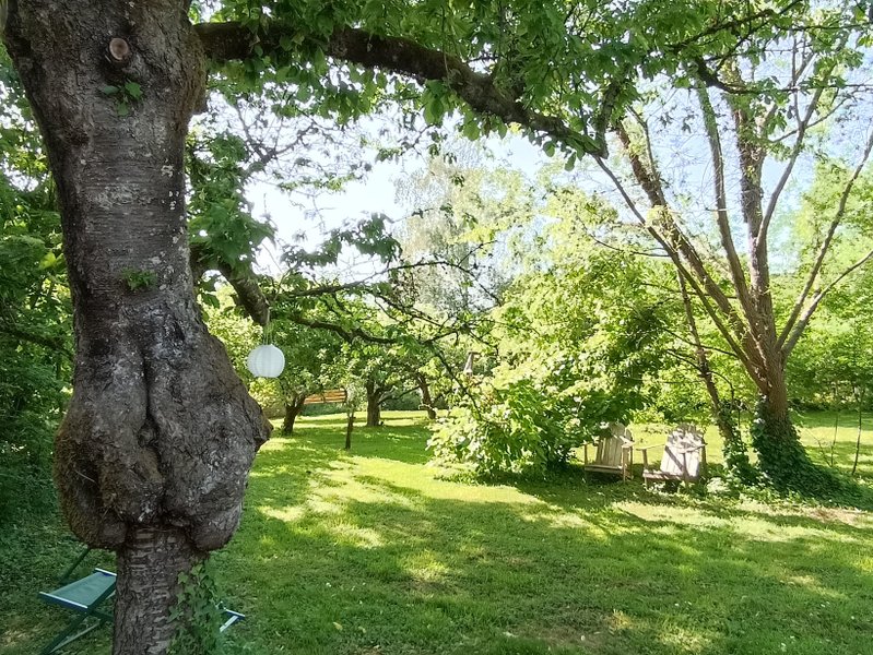 Hébergement AbracadaRoom : La Roulotte du Domaine de la Comté & Spa - Image 21