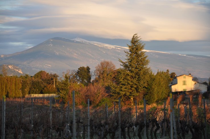 Domaine AbracadaRoom : Nid'Oiselet - Image 1