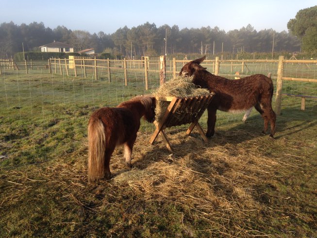 Domaine AbracadaRoom : Parenthèse Nuit - Image 1