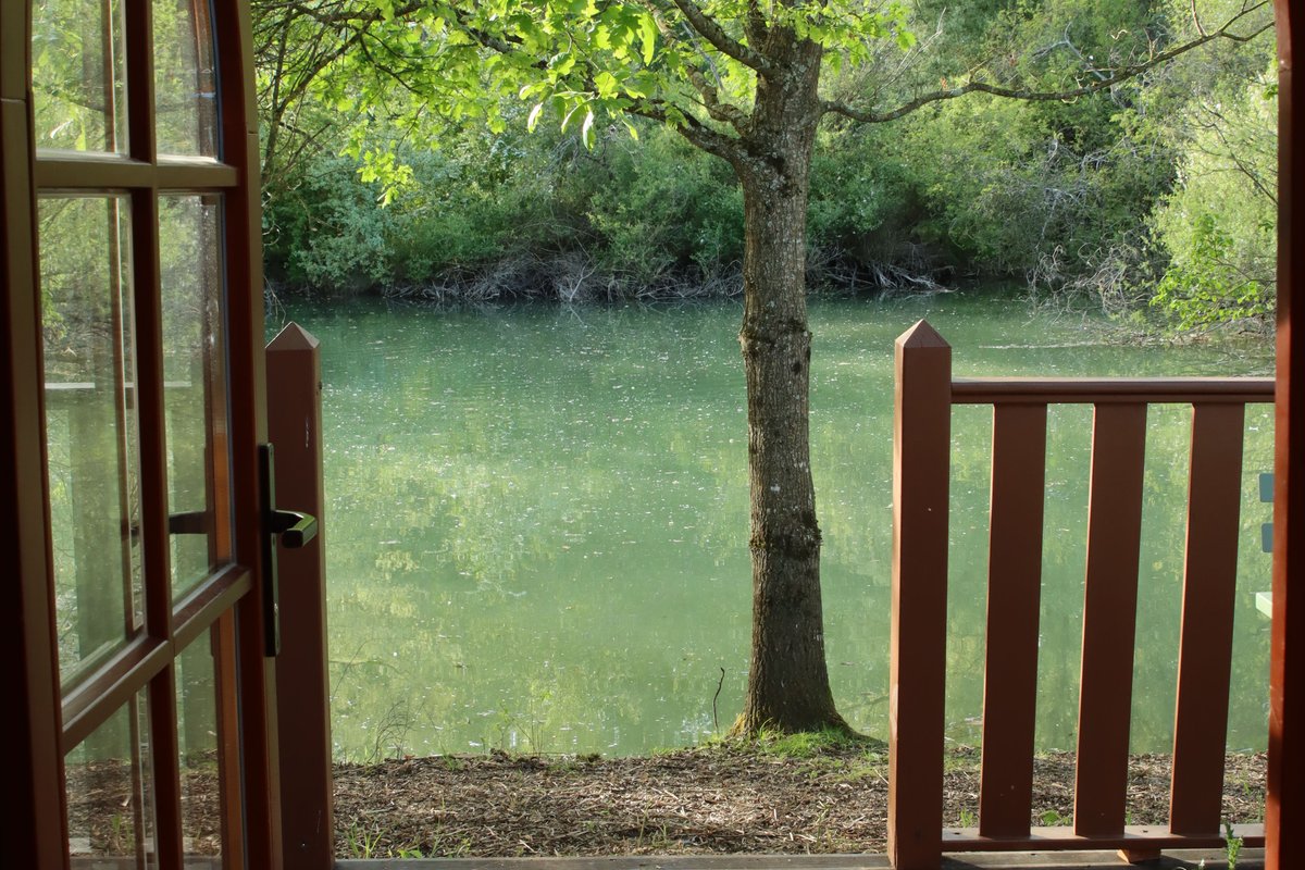 La roulotte de la magicienne à Brienon-Sur-Armançon (26)