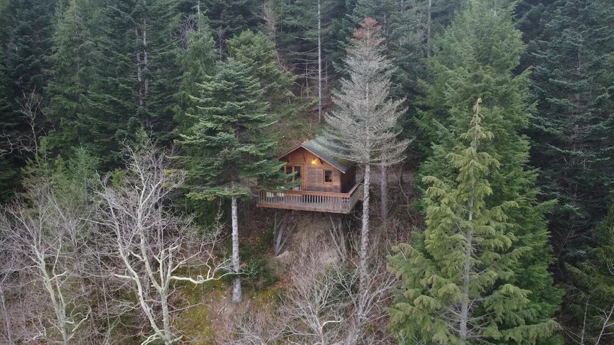 Domaine AbracadaRoom : Domaine Oz'Arbres - Image 2