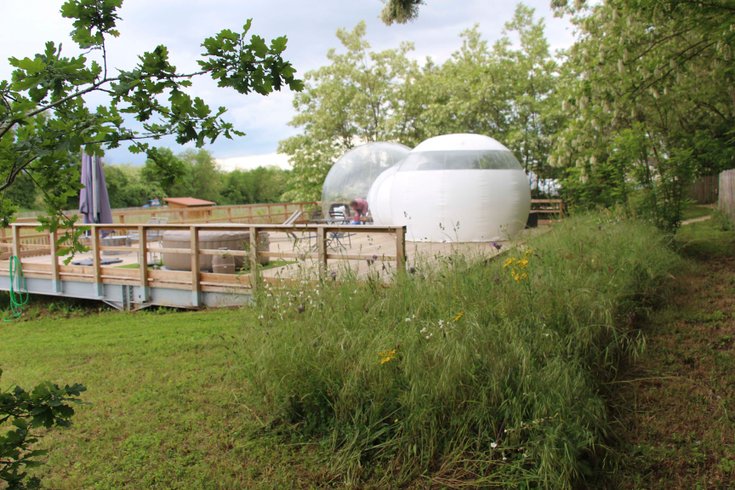 Domaine AbracadaRoom : La Petite Ferme des Vitoz - Image 12