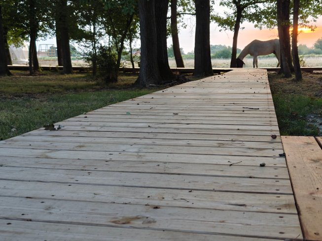 Hébergement AbracadaRoom : Dôme Shizen - Image 20