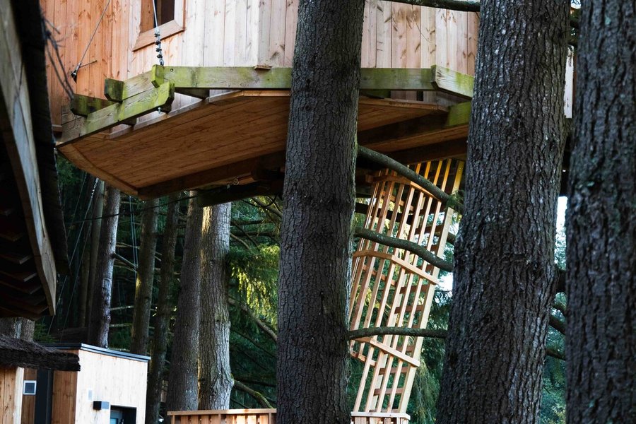 Cabane HERON - Séance sauna offerte — photo 2
