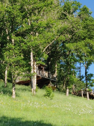 Hébergement AbracadaRoom : Cabane  Chataignier - Image 2
