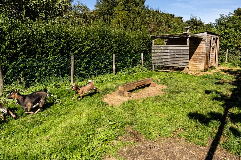 Domaine AbracadaRoom : Seasonova Les Mouettes - Image 27