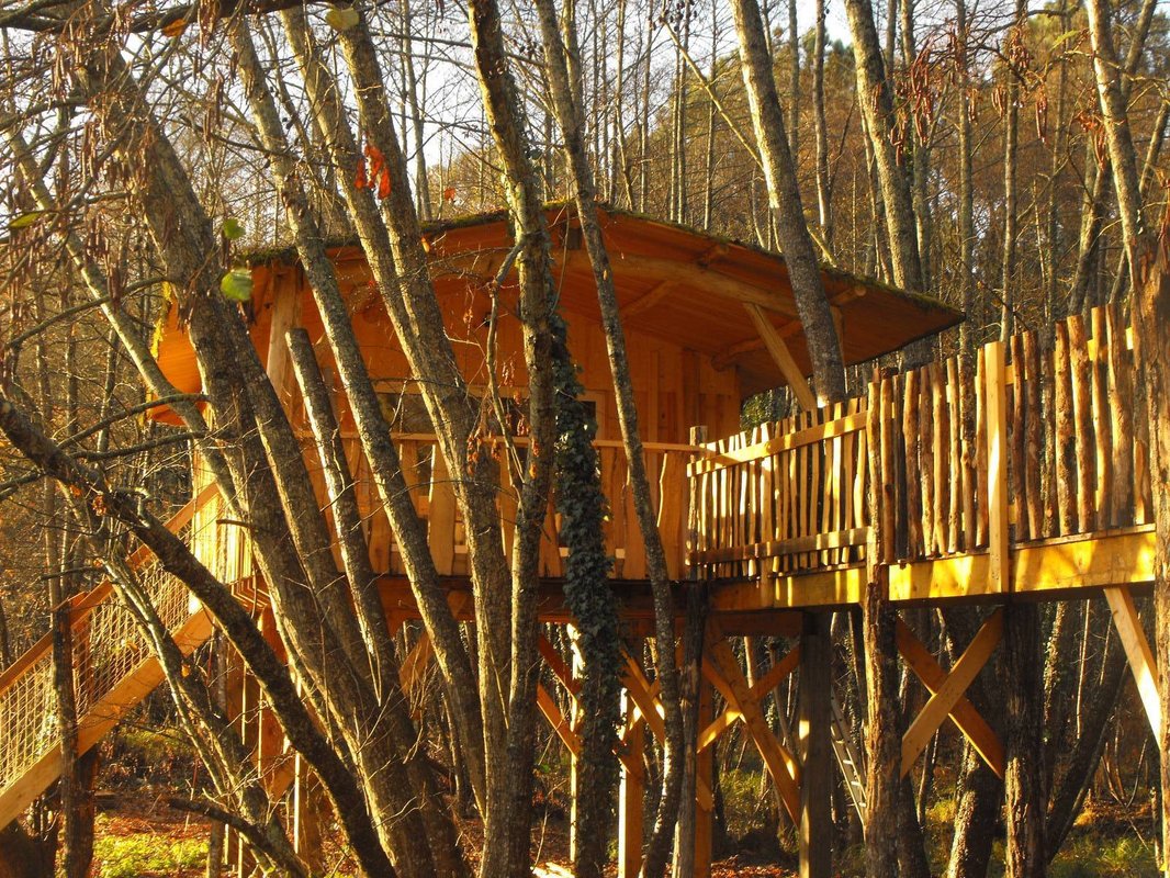 Cabane des Cerfs à Allons (8)