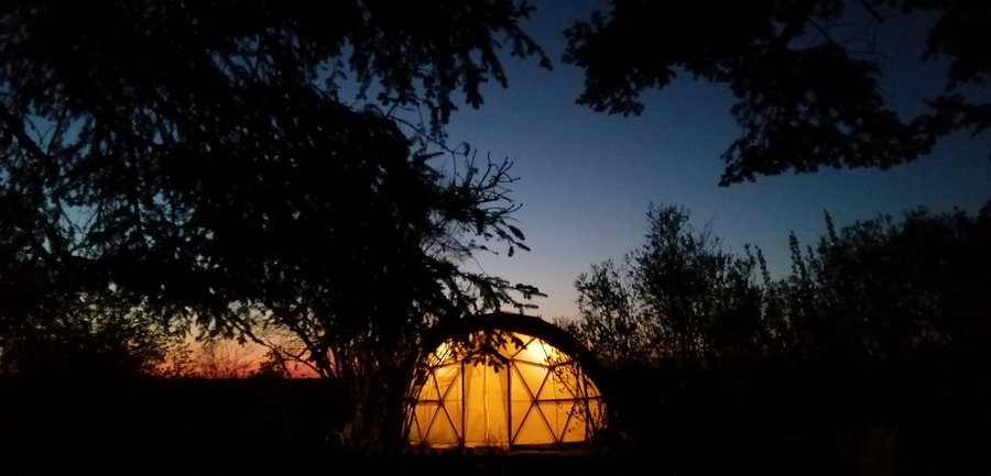 Hébergement AbracadaRoom : Dôme aux oiseaux - Image 23