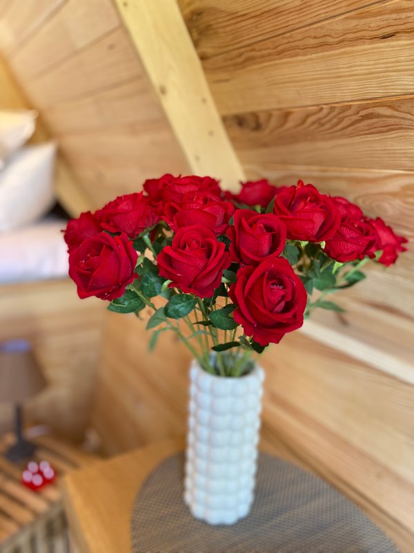 La Cabane Aéloria & Spa à Robiac-Rochessadoule (40)