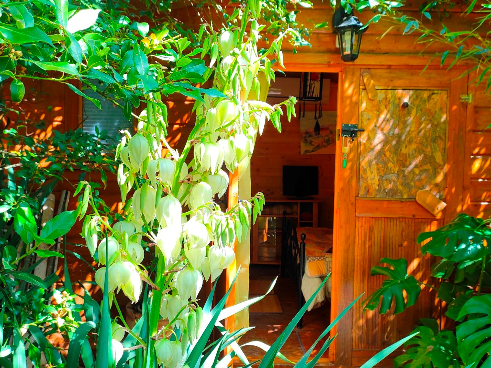 Tiny Garden – Parenthèse nature et sérénité