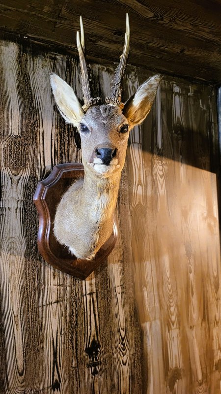 L'auberge du Trône à Saint-Étienne (10)