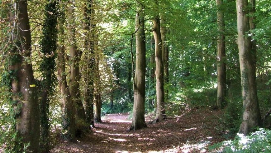 Domaine AbracadaRoom : Seasonova Camping Etennemare - Image 24