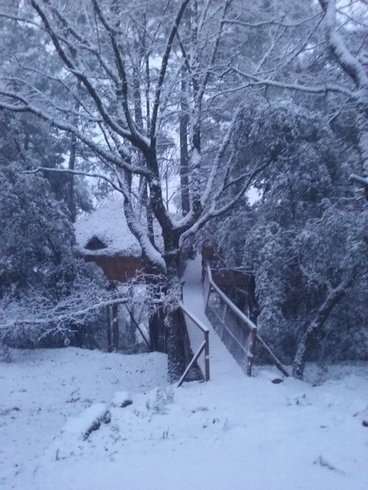 Domaine AbracadaRoom : Domaine Cabanes & Spa Ardèche - Image 16