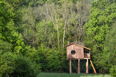 Cabane Observatoire Spa Belle Forêt à St-Léger-Aux-Bois (1)