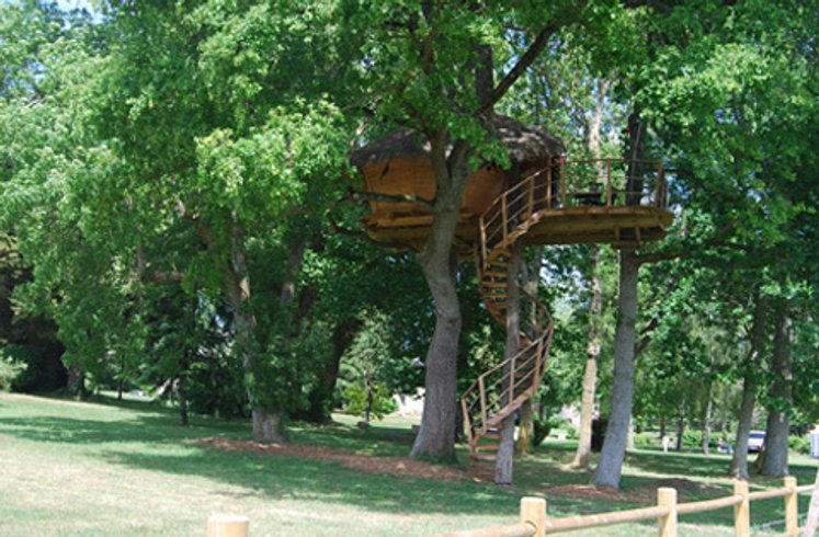 Hébergement AbracadaRoom : Dam'oiseaux - Image 7