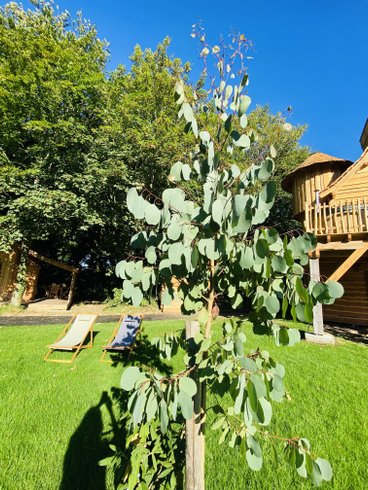 Domaine AbracadaRoom : Jardin Zen du Quistillic - Image 42