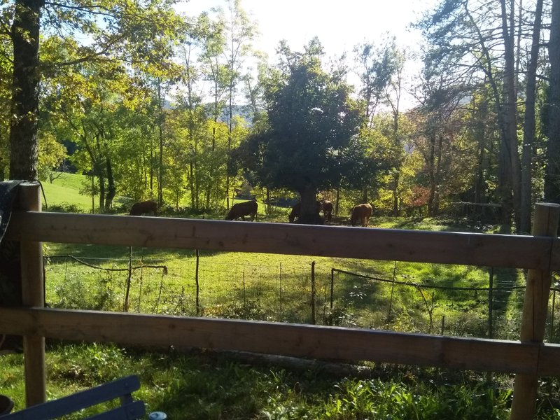 Hébergement AbracadaRoom : Le Minshuku & SPA - Image 3