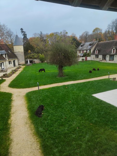 Domaine AbracadaRoom : La Ferme de Razay - Image 11