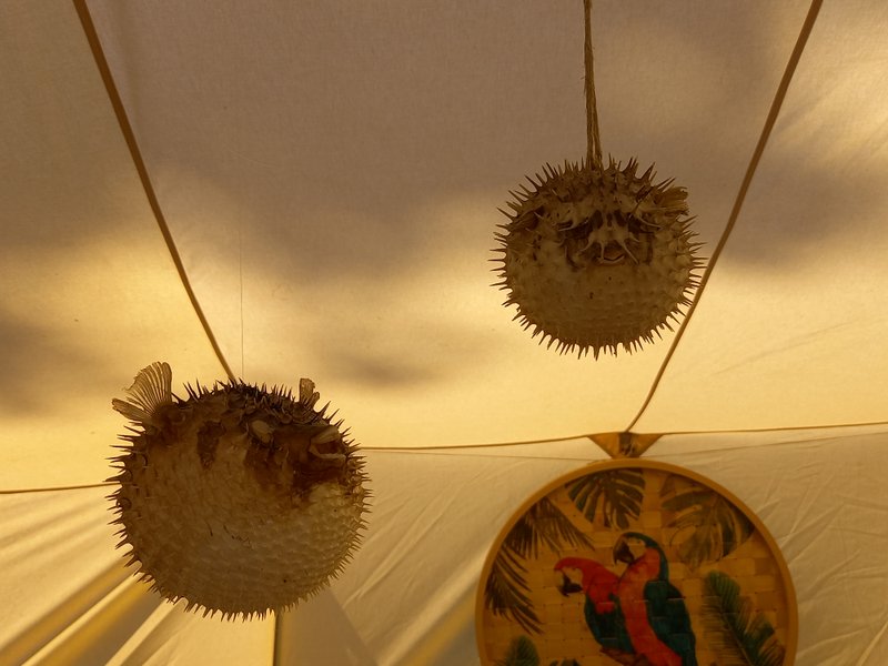 Hébergement AbracadaRoom : Tiki tent - Image 11