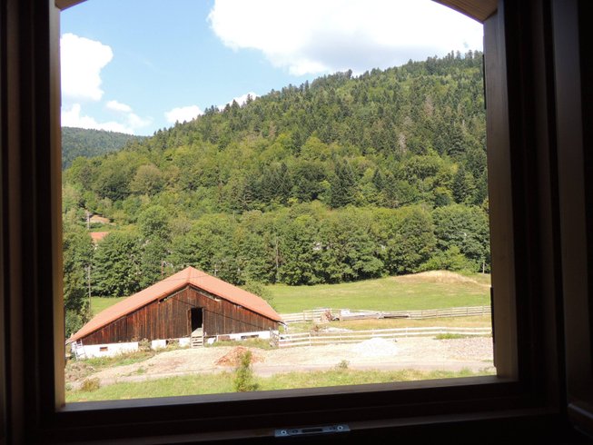 Hébergement AbracadaRoom : La Roulotte des Scaravella - Image 16