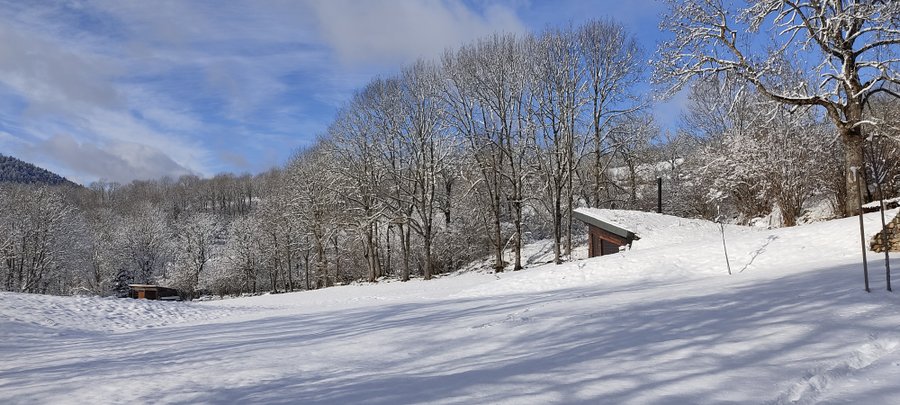 Hébergement AbracadaRoom : Bulle de Bois & Spa - Image 19