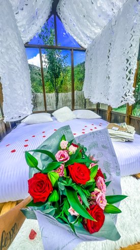 Hébergement AbracadaRoom : Chalet en verre sous une pluie d’étoiles - Image 66