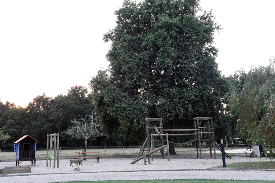 Domaine AbracadaRoom : Airial des Monges - Image 7