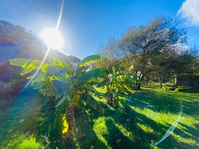Hébergement AbracadaRoom : La Tête dans les étoiles - Image 30
