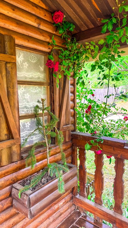 Chalet en verre sous une pluie d’étoiles à Biot (37)