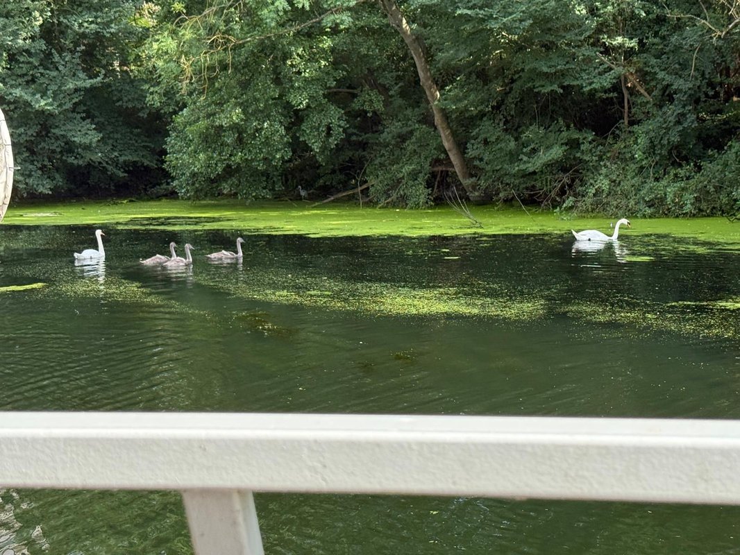 Péniche sur la Seine à Vigneux-Sur-Seine (13)