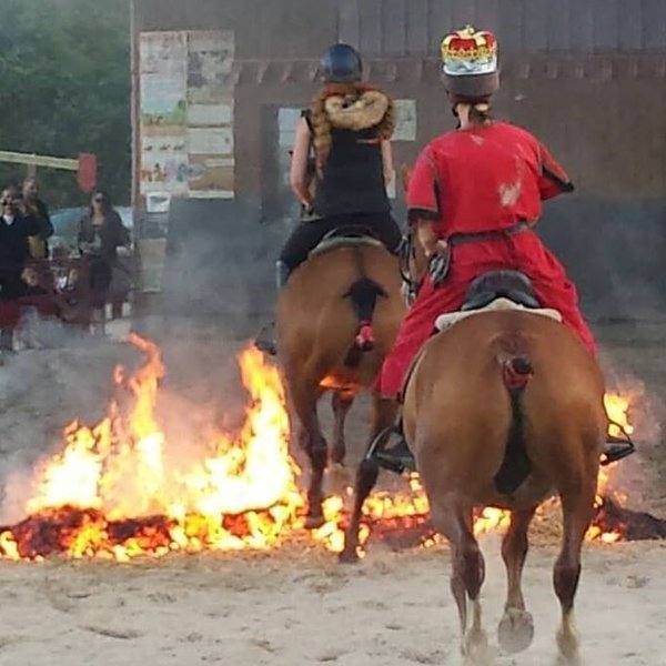 Domaine AbracadaRoom : Écurie Leseigneur - Image 19