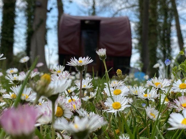 Hébergement AbracadaRoom : Le Foudre - Image 8