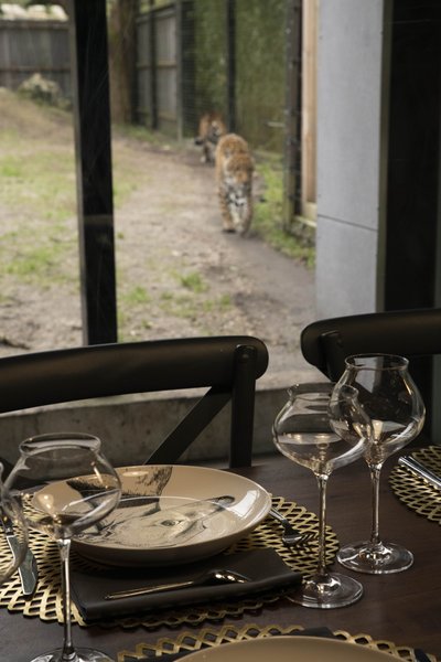 Hébergement AbracadaRoom : Lodge Jaguars & Spa & Dîner - Accès au zoo - Image 13